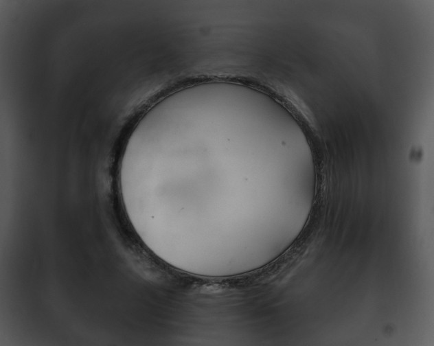 X0000101980635200807180801