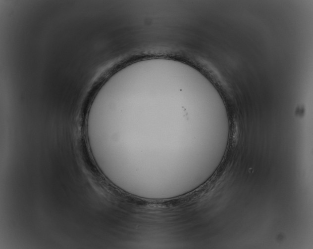 X0000101980636200807180801