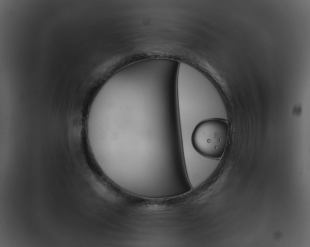 X0000101980637200807180801