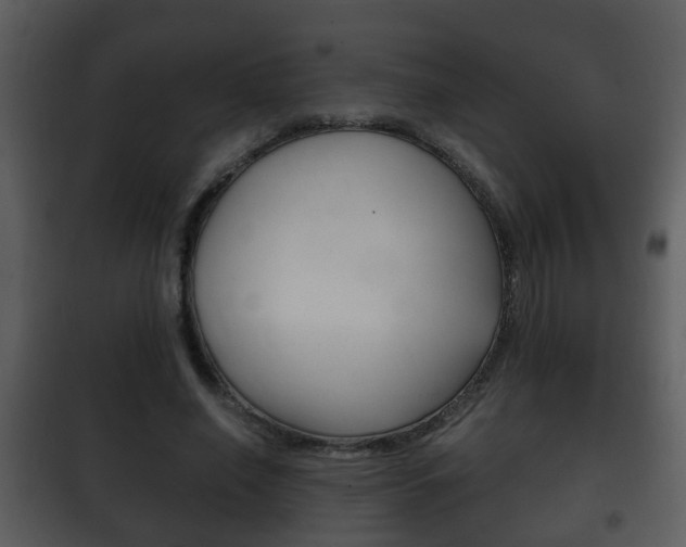 X0000101980638200807180801