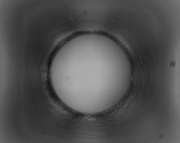 X0000101980640200807180801
