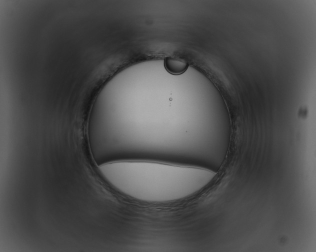 X0000101980641200807180801