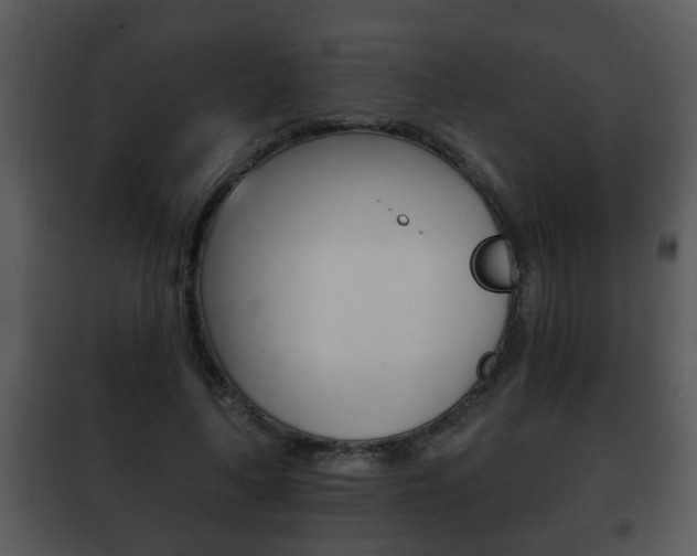 X0000101980643200807180801
