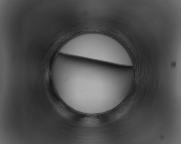 X0000101980644200807180801