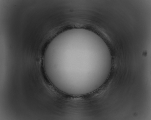 X0000101980645200807180801