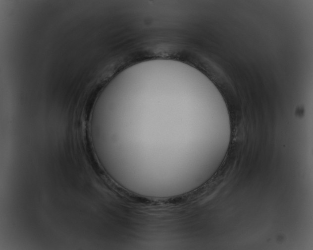 X0000101980646200807180801