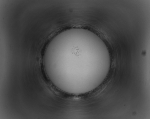 X0000101980647200807180801