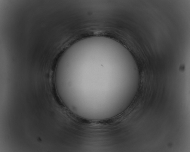 X0000101980650200807180801