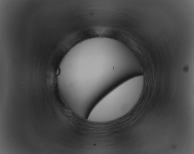 X0000101980651200807180801