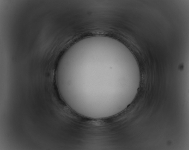 X0000101980652200807180801