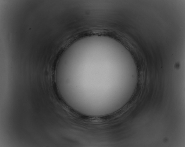 X0000101980653200807180801
