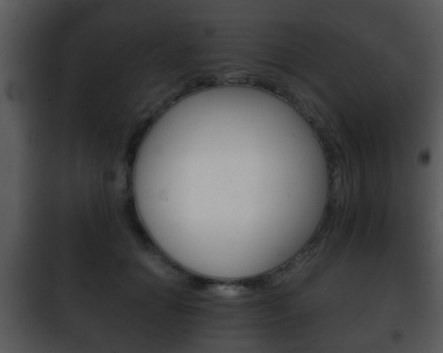 X0000101980654200807180802