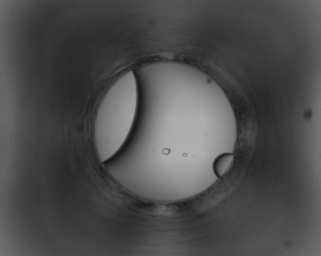 X0000101980656200807180802