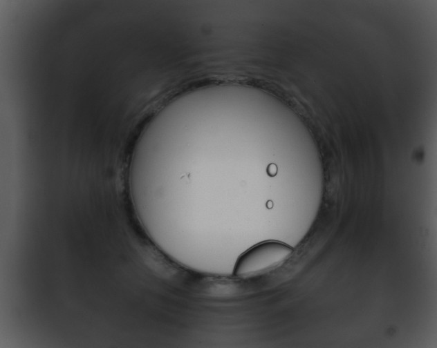 X0000101980658200807180802