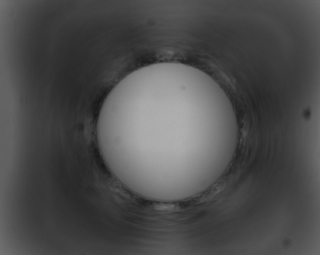 X0000101980659200807180802