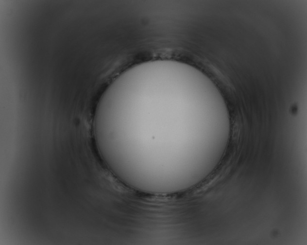 X0000101980661200807180802