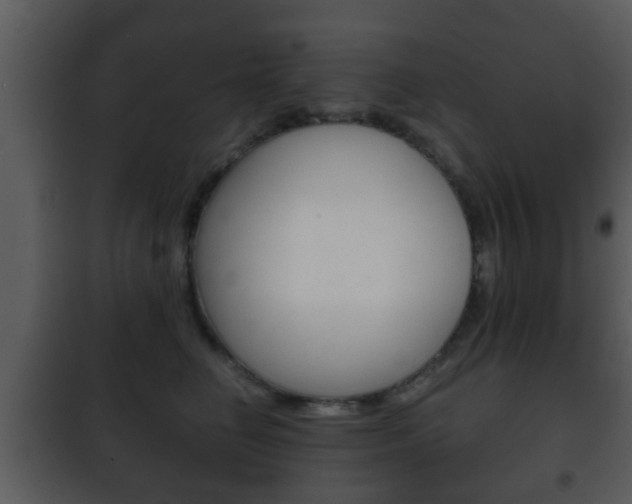 X0000101980662200807180802