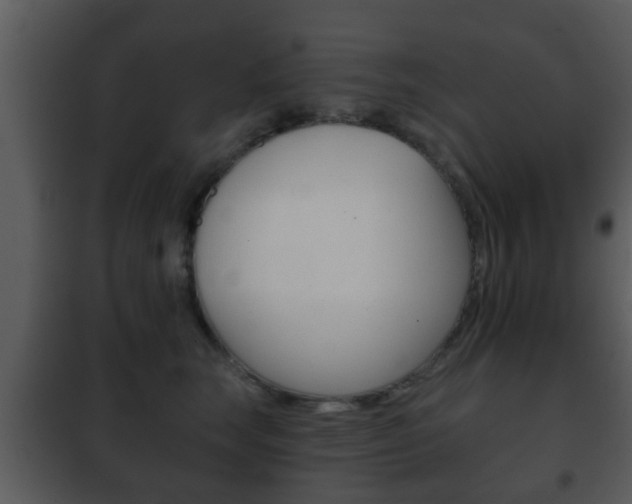 X0000101980663200807180802