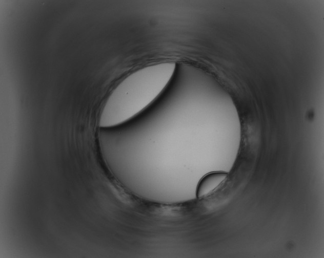 X0000101980664200807180802