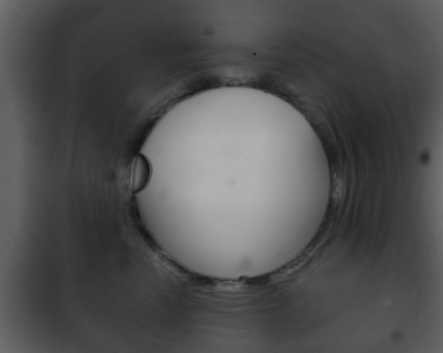 X0000101980666200807180802