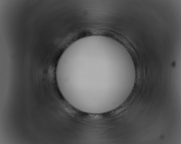 X0000101980667200807180802