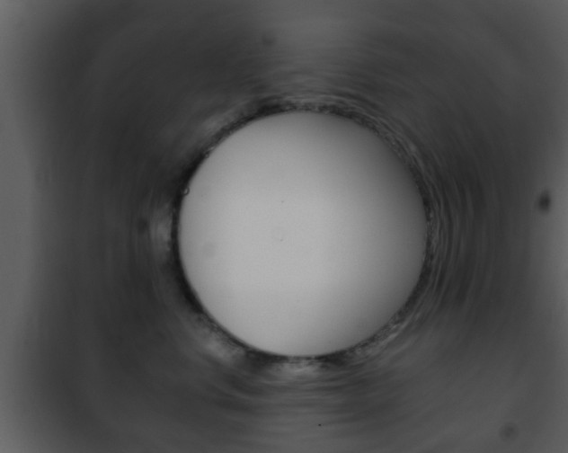 X0000101980668200807180802