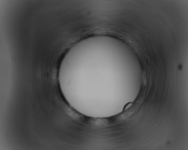 X0000101980670200807180802