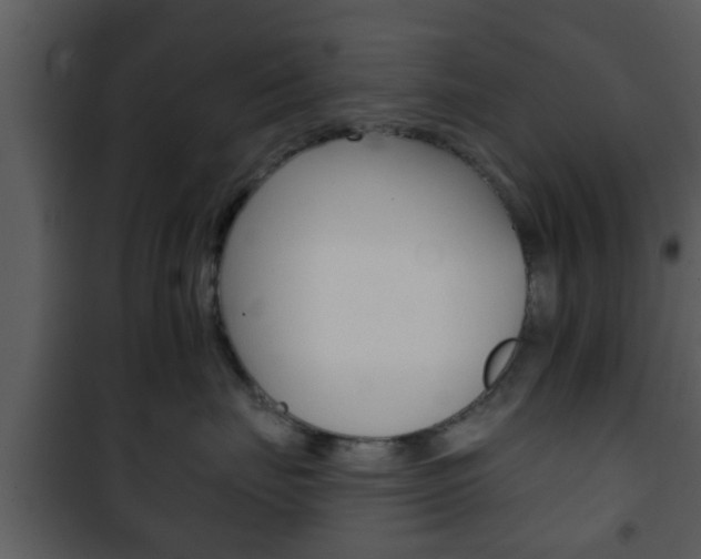 X0000101980671200807180802