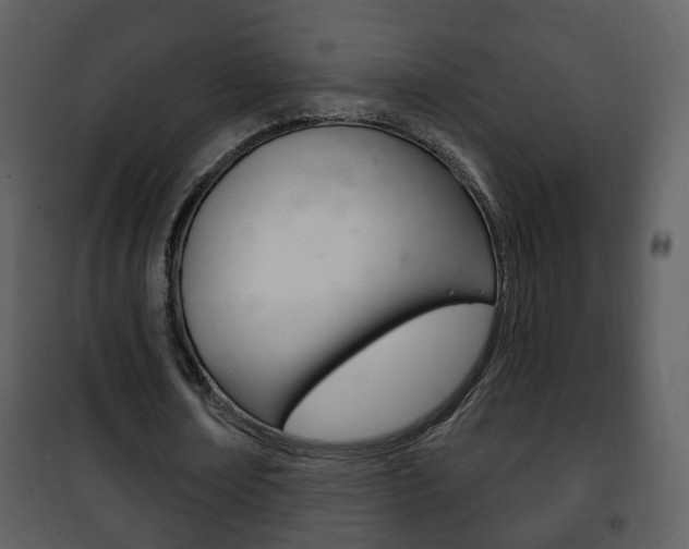 X0000101980674200807180801