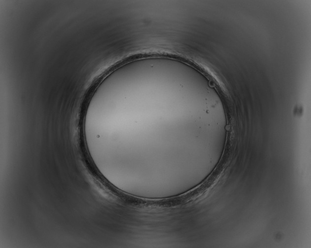 X0000101980677200807180801