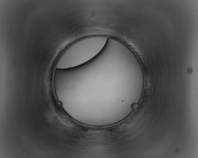 X0000101980679200807180801