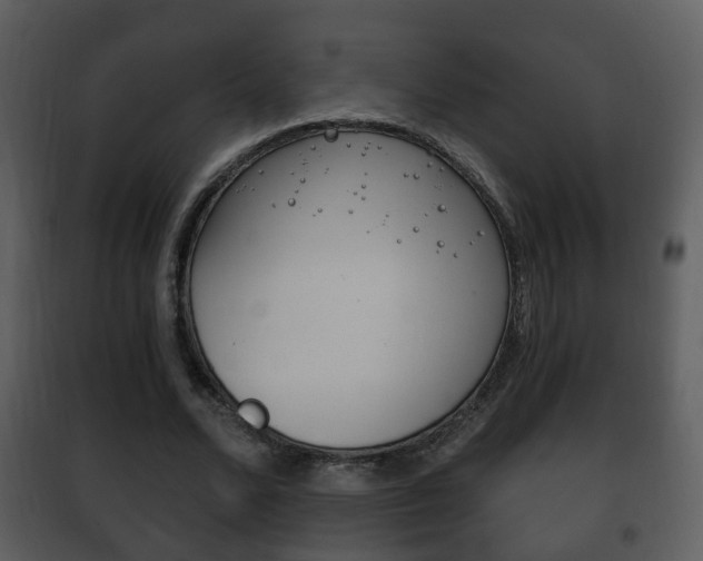 X0000101980680200807180801