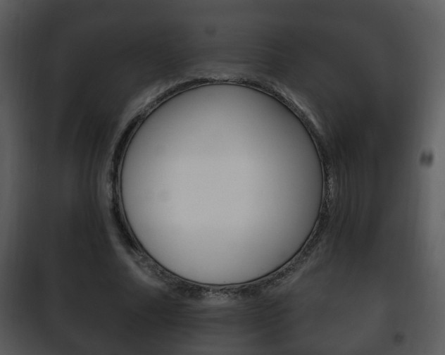 X0000101980682200807180801