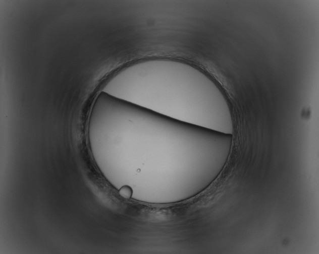 X0000101980683200807180801