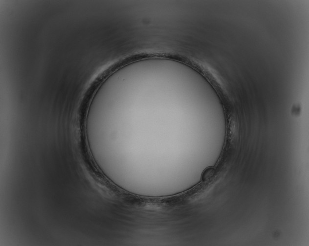 X0000101980684200807180801