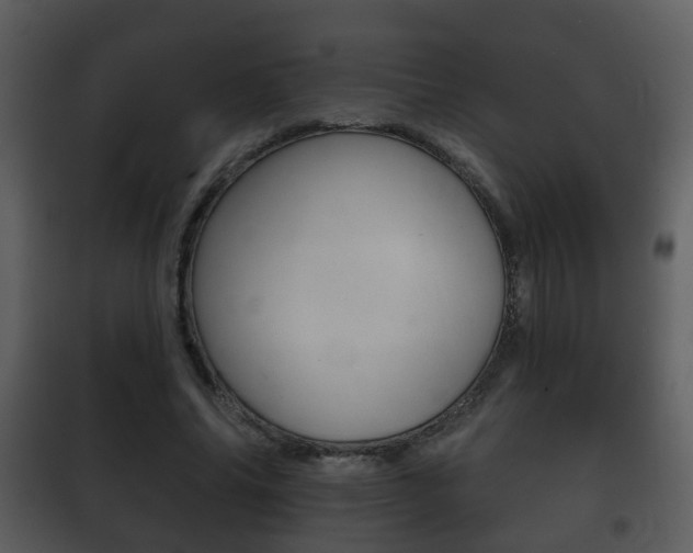X0000101980686200807180801