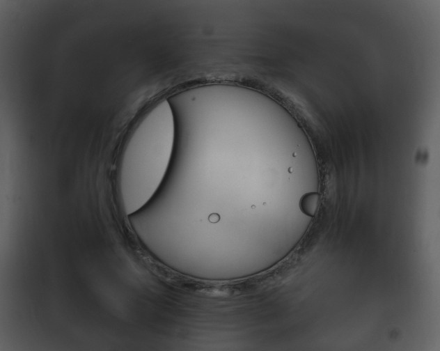 X0000101980687200807180801