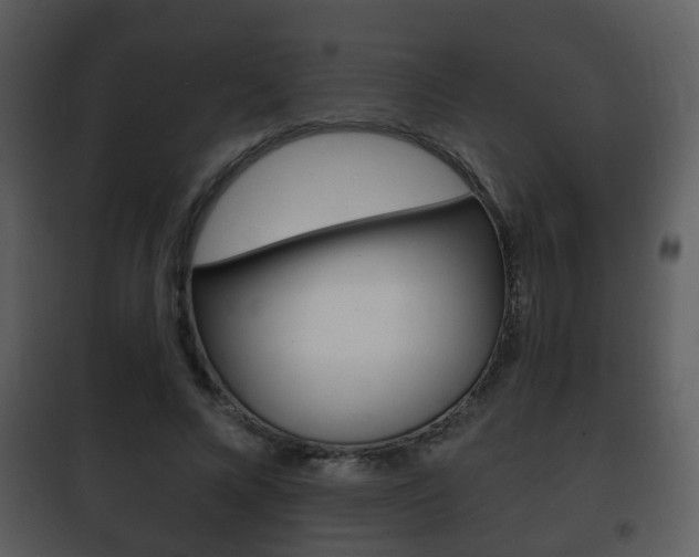 X0000101980688200807180801