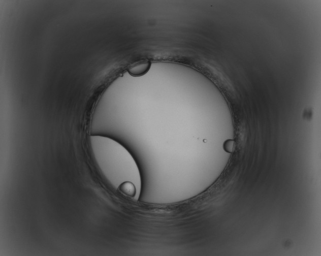 X0000101980691200807180801