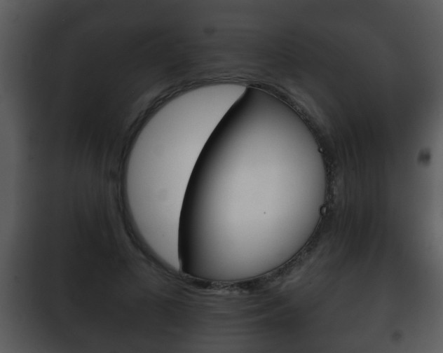 X0000101980693200807180801