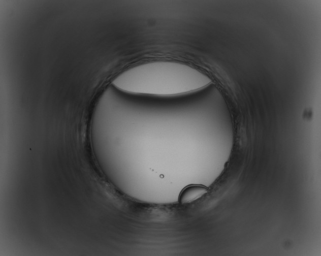X0000101980697200807180801