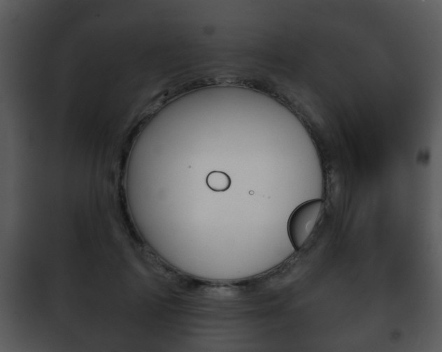 X0000101980698200807180801