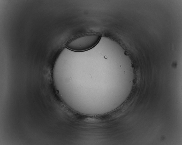 X0000101980699200807180801