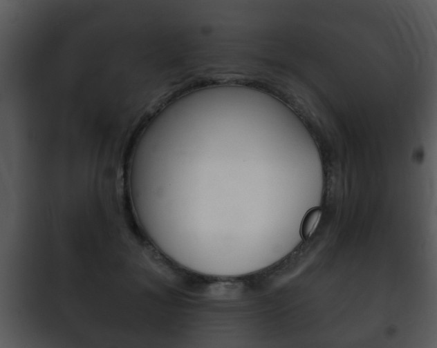 X0000101980700200807180801