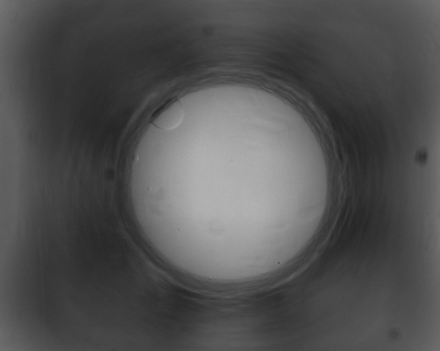 X0000101980701200807180801