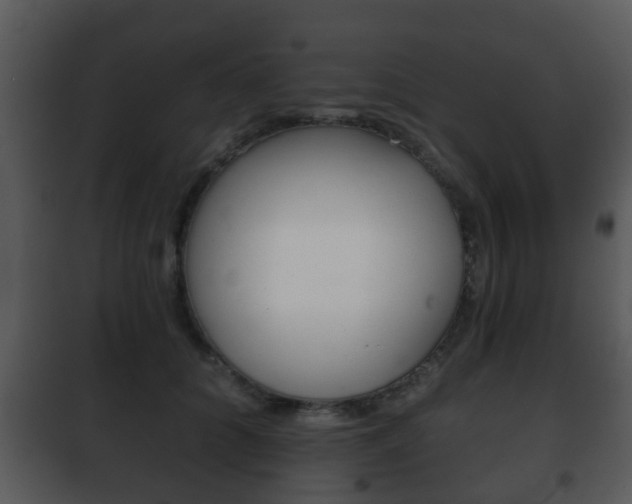 X0000101980704200807180801