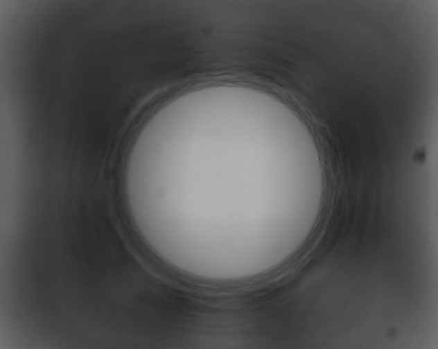 X0000101980705200807180801