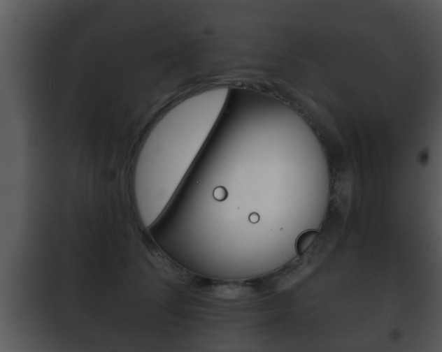 X0000101980708200807180801