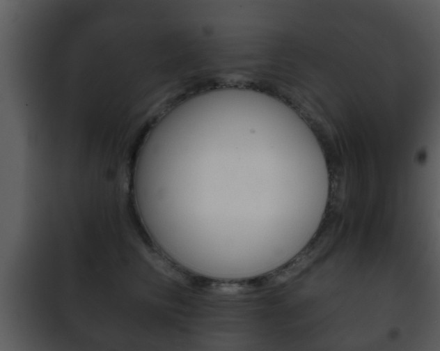 X0000101980710200807180801
