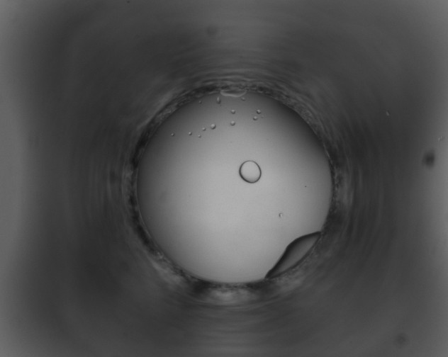 X0000101980712200807180801